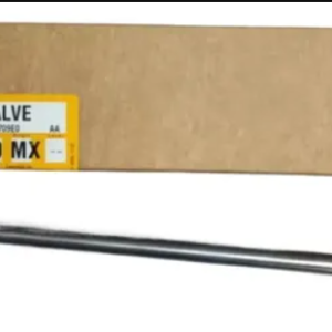 Valve Exhaust